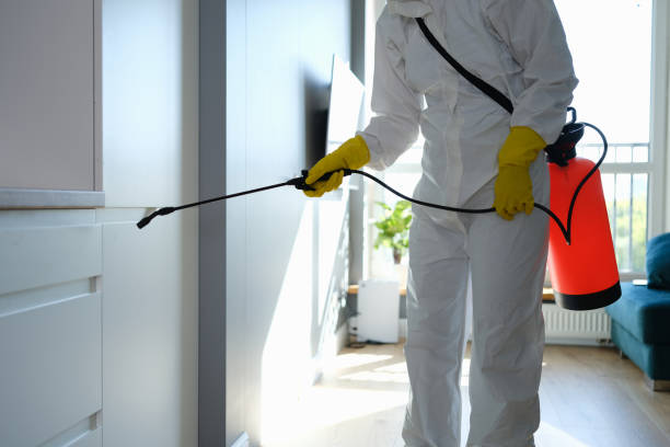 Best Home Mold Removal  in Albers, IL